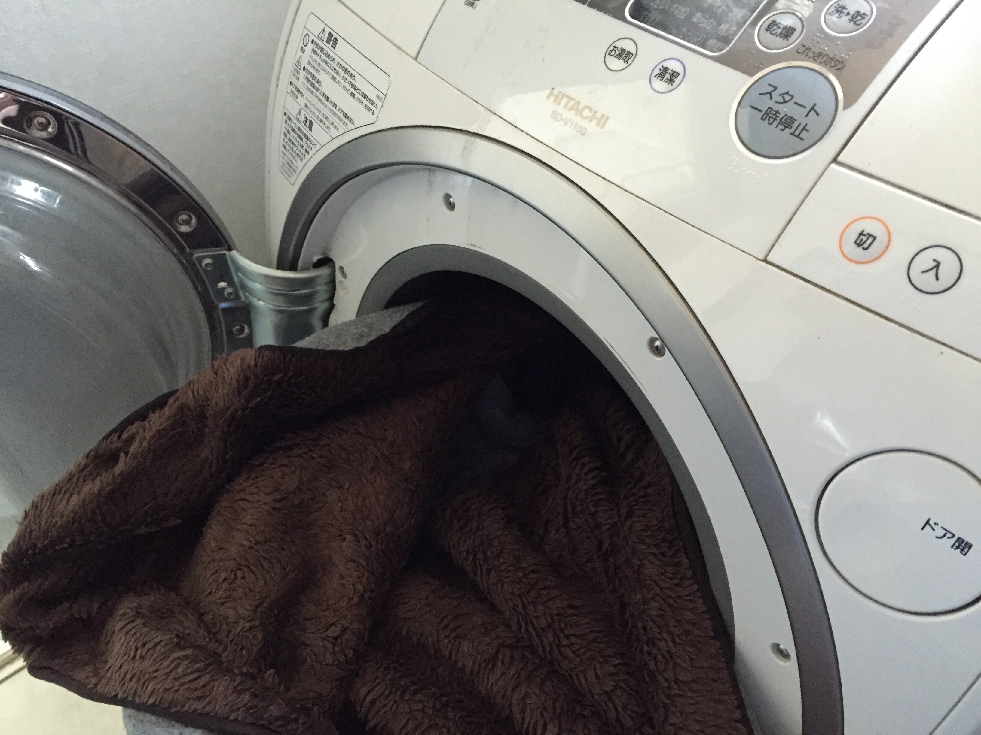 台風のさなか息子の行動と無印のカーペットを洗う